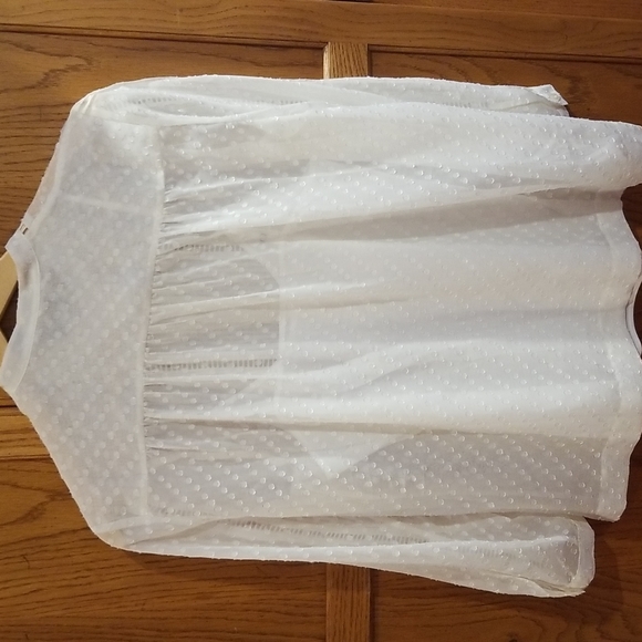NWT Madewell Sheer Swiss Pintuck Blouse - Picture 8 of 10